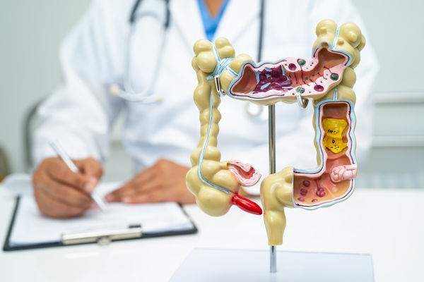 gut analysis